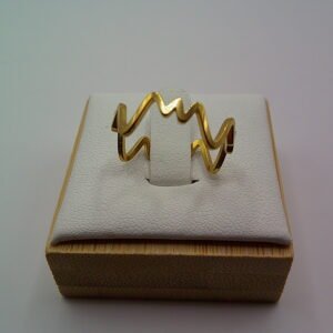 Find Your Rhythm: The Pulse Ring β‘οΈ